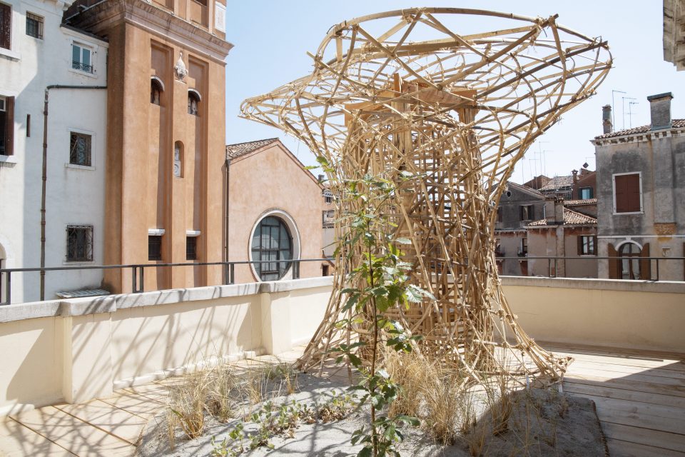 0.JINEN_Federico.Vespignani_001_compressed