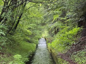 事務所横の水路